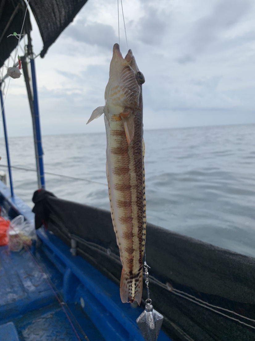 南海漂流怎么样,佛山海钓野钓