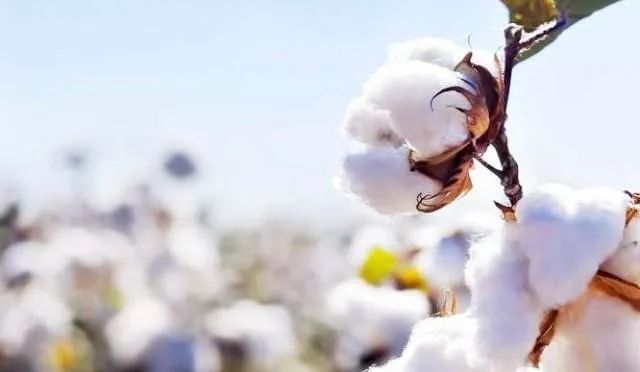 贡缎四件套100全棉冬天凉吗,贡缎水洗丝质四件套