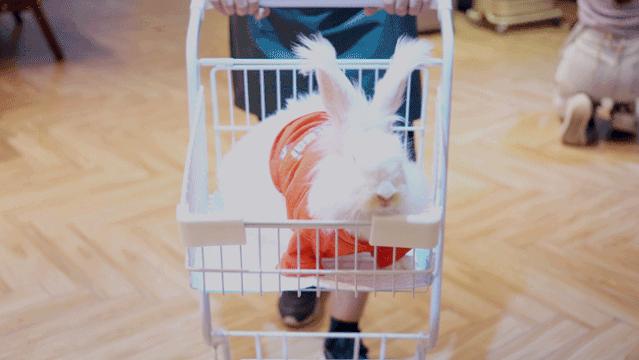 禅城有人约会吗,佛山禅城适合约女生玩的地方