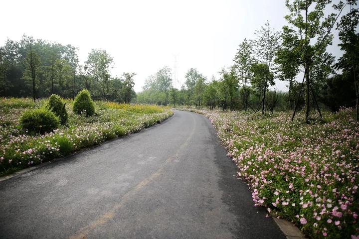 衢州府山公园地图,衢州府山公园景色