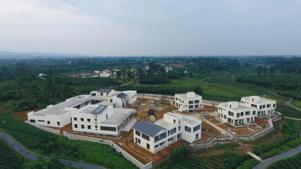 杩滃瀹佽繙,杩滃