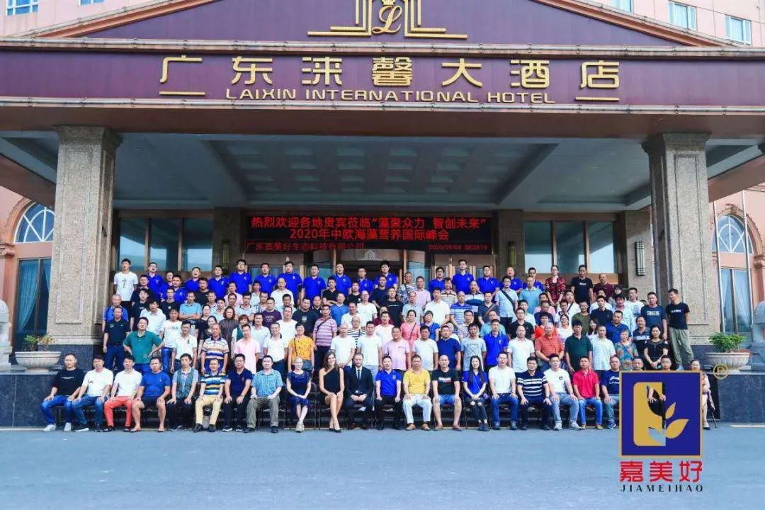 广东嘉美好进出口,广东嘉美好公司