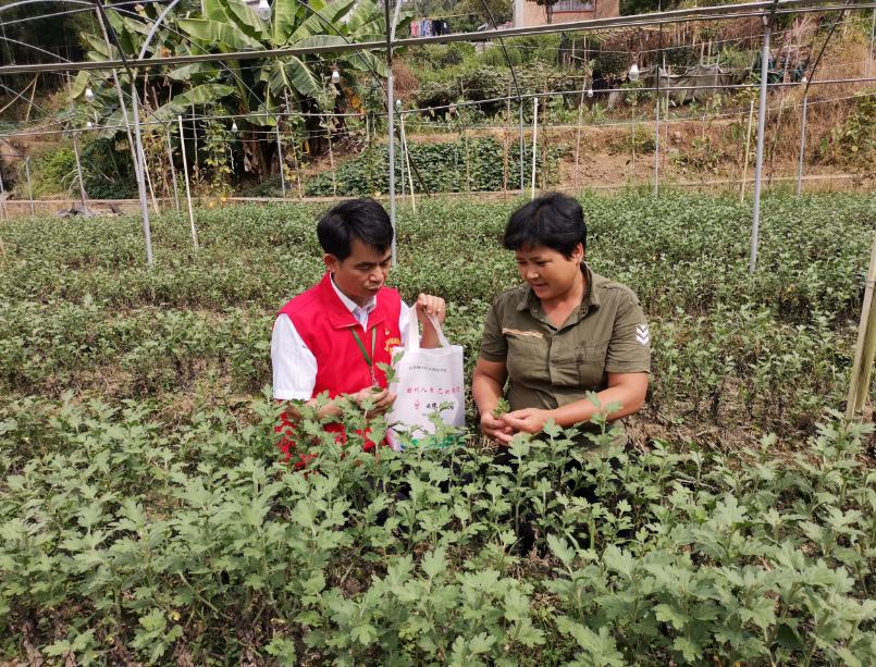 农商行最美劳动者个人事迹,甘于奉献的老黄牛