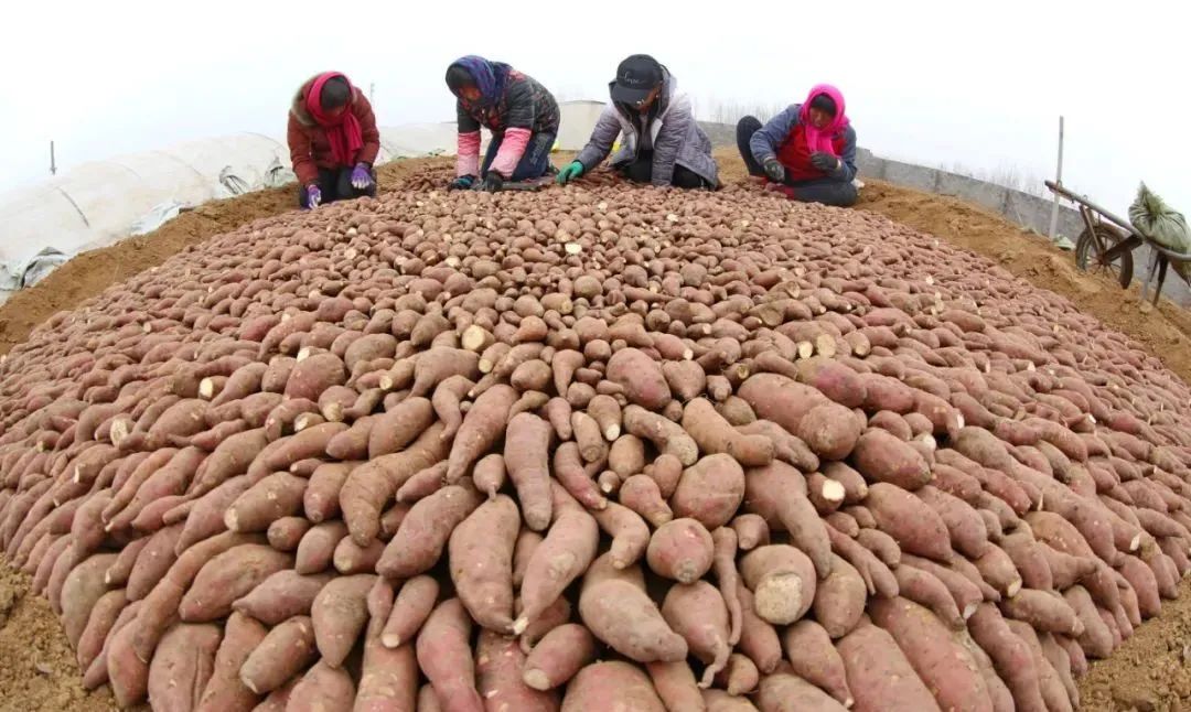 @老师们!鄂尔多斯这些商家暖心促销送礼包