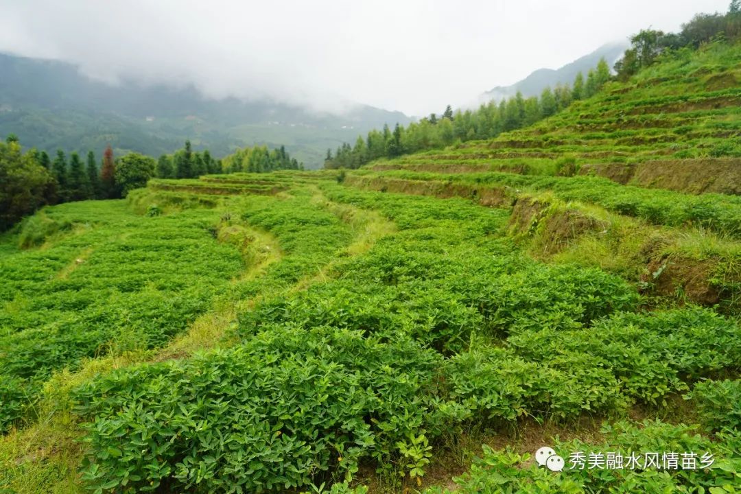 贫困村脱贫摘帽,脱贫摘帽精准帮扶