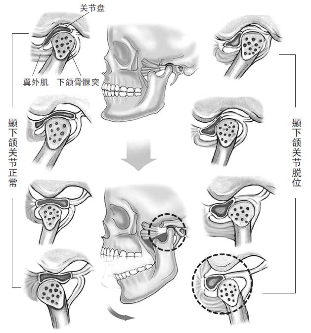 微博被明星回复的感受,评论被喜欢的博主回复了很开心