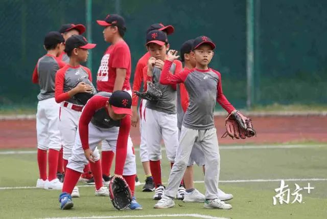 岑村小学棒球队,岑村小学棒球