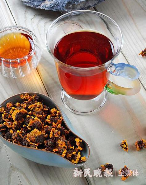 昆仑雪菊新疆雪菊,新疆昆仑山野雪菊