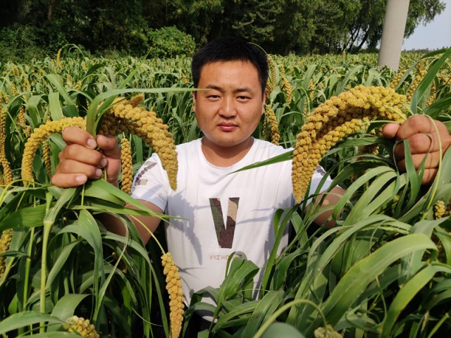 90后艰辛创业之路,90后农人致富路