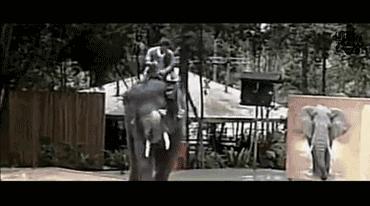 被铁链绑住，注射避孕药，连续伺候几百人后，她挣扎着死去……