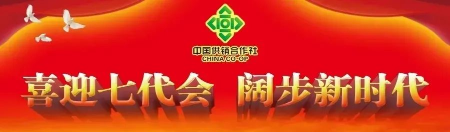 改革榜样|倍丰集团:从黑土地走向大江南北