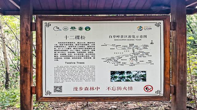 涞水野三坡旅游攻略,涞水白草畔自然风景区野三坡