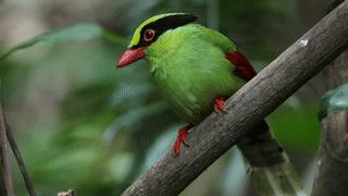 别去挤景点了！生态旅游了解一下