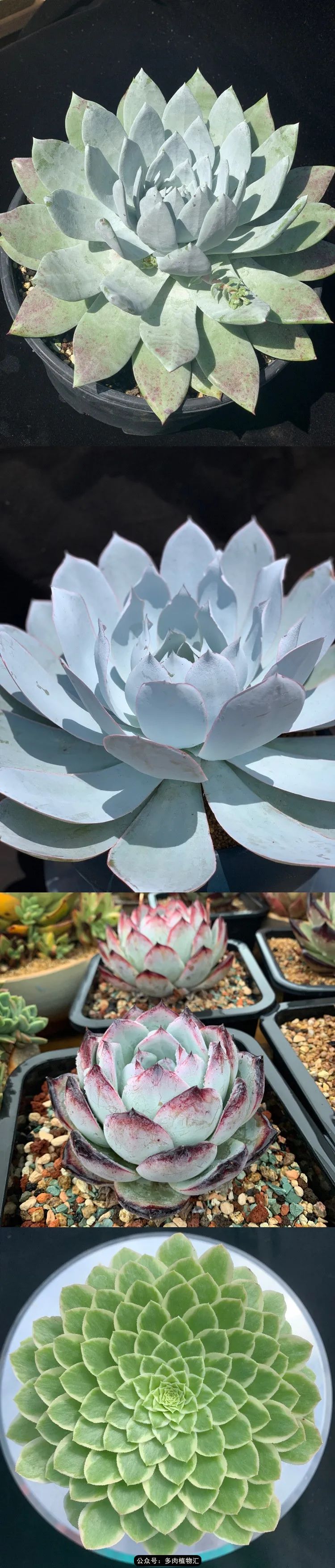 浠庝簯鍗楄繃鏉ュ箍涓滅殑澶氳倝,閬囪澶氳倝鎰熸仼鐢熷懡涓墍鏈夌殑鐩歌瘑