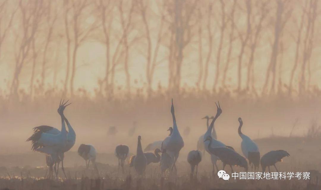 中国少年营新疆站报名,中国少年营报名