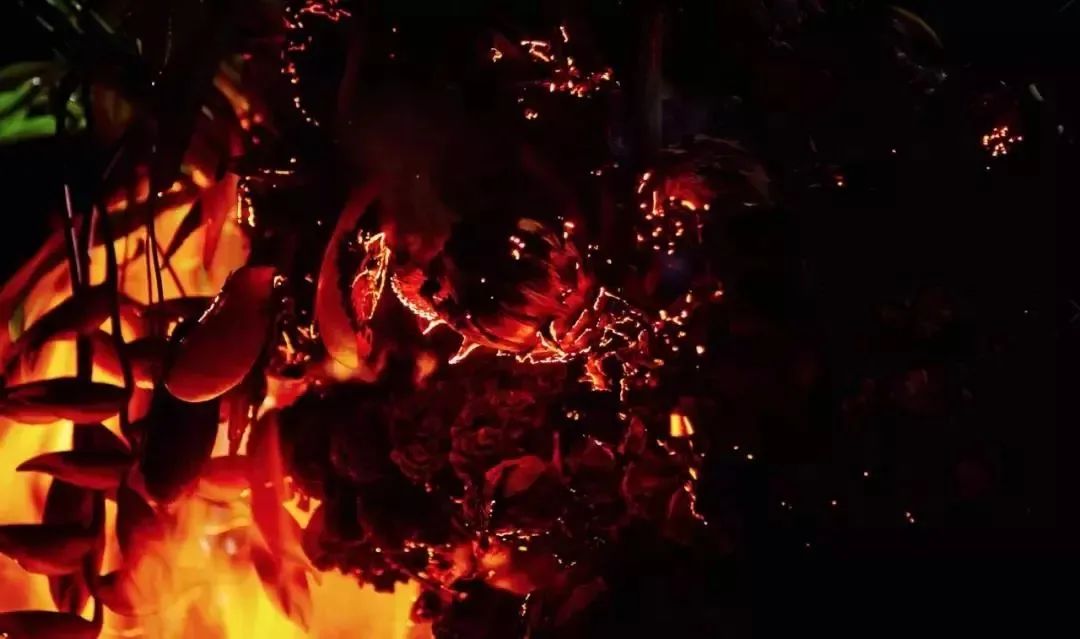 他是日本著名“花花公子”，拈花惹草只为极致的美