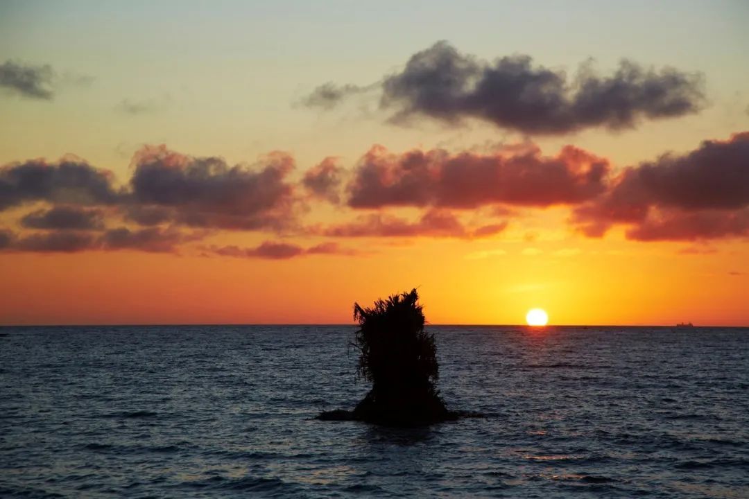 他是日本著名“花花公子”，拈花惹草只为极致的美