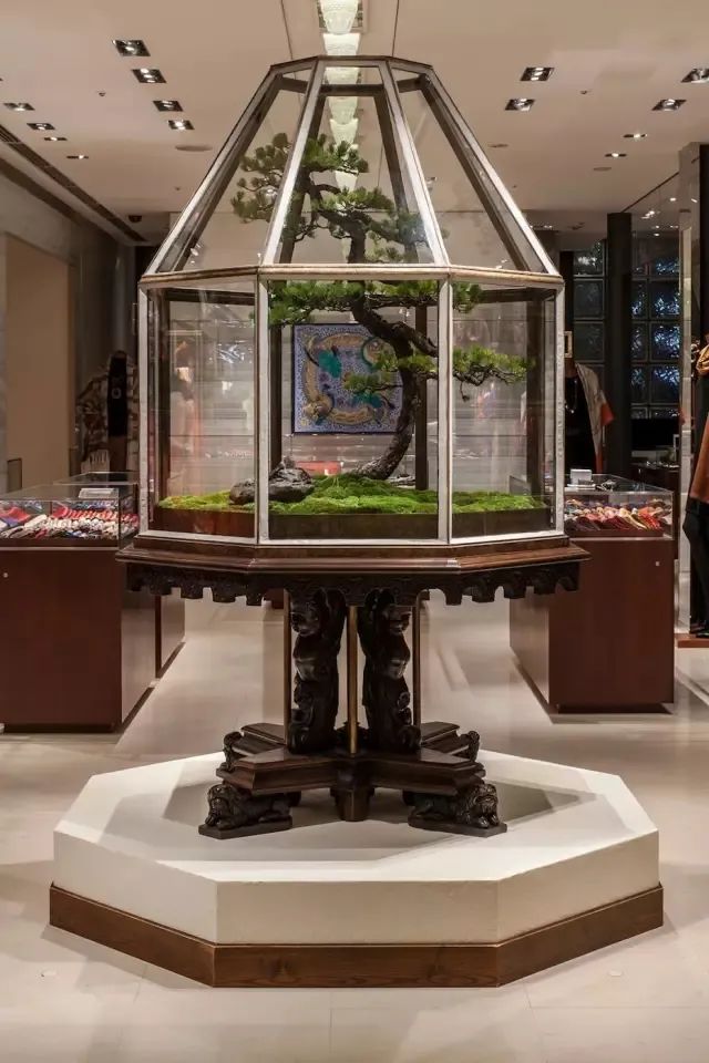 他是日本著名“花花公子”，拈花惹草只为极致的美