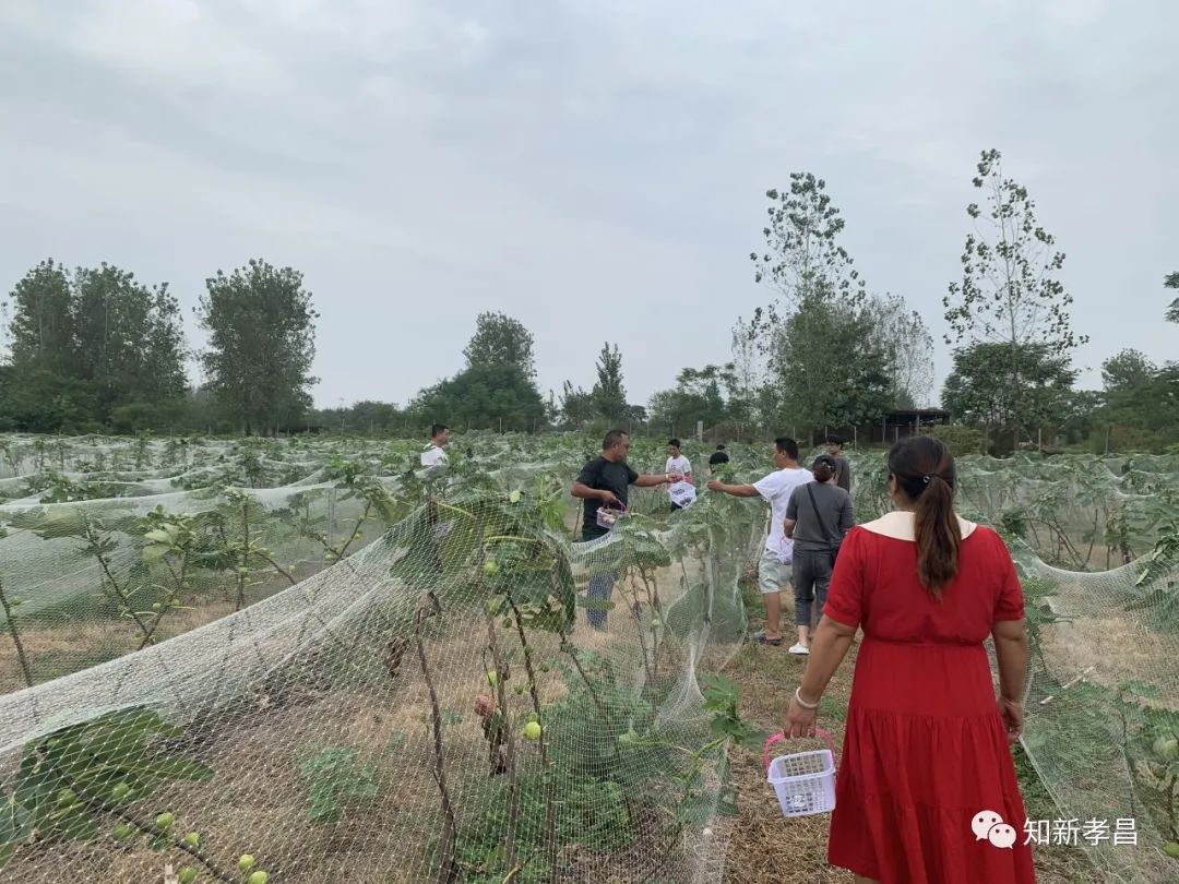 嘿，“糖包子”的故事你听过吗？