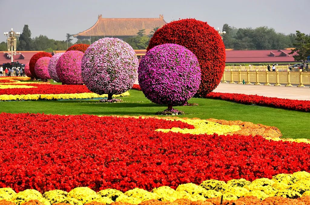 天安门广场花坛里的美景,有一种美叫天安门广场国庆花坛