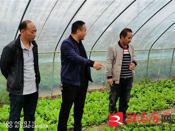 两个书记合起来是什么电视剧,两个书记电视剧叫什么