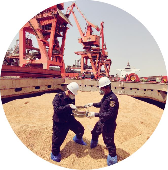 海关出口小知识,海关小知识大全集