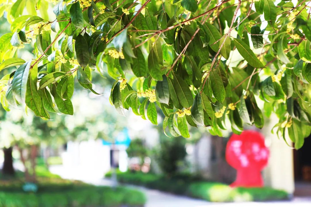 滨江多思创新学校,滨江学校全部排名