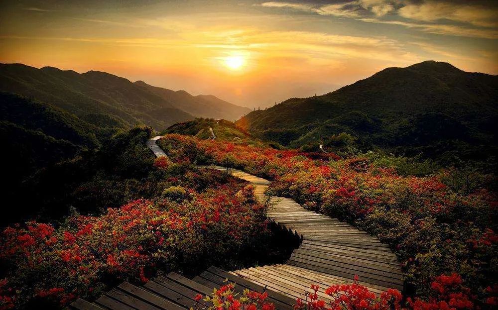 长沙旅游攻略必玩必吃项目,十一长沙周边旅游攻略