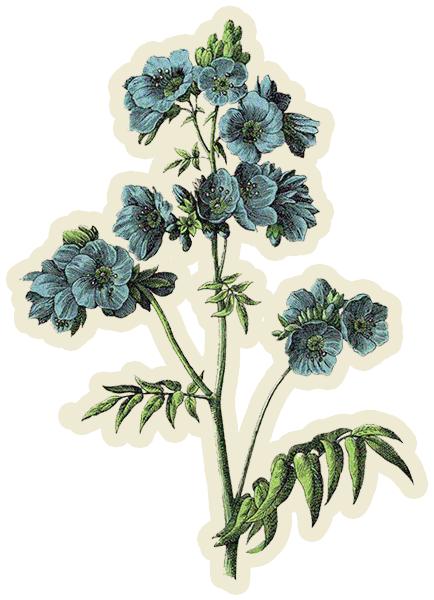 国庆不出重庆旅游推荐,国庆游玩不拥挤还免费