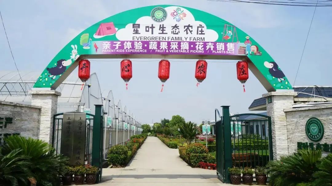 孙俪周冬雨angelababy,孙俪angelababy邓超