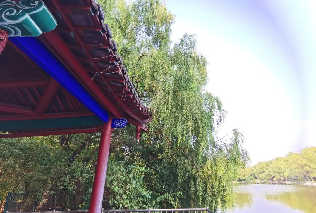 推荐一个假期亲子出游的好地方,北京亦庄周末去哪儿玩