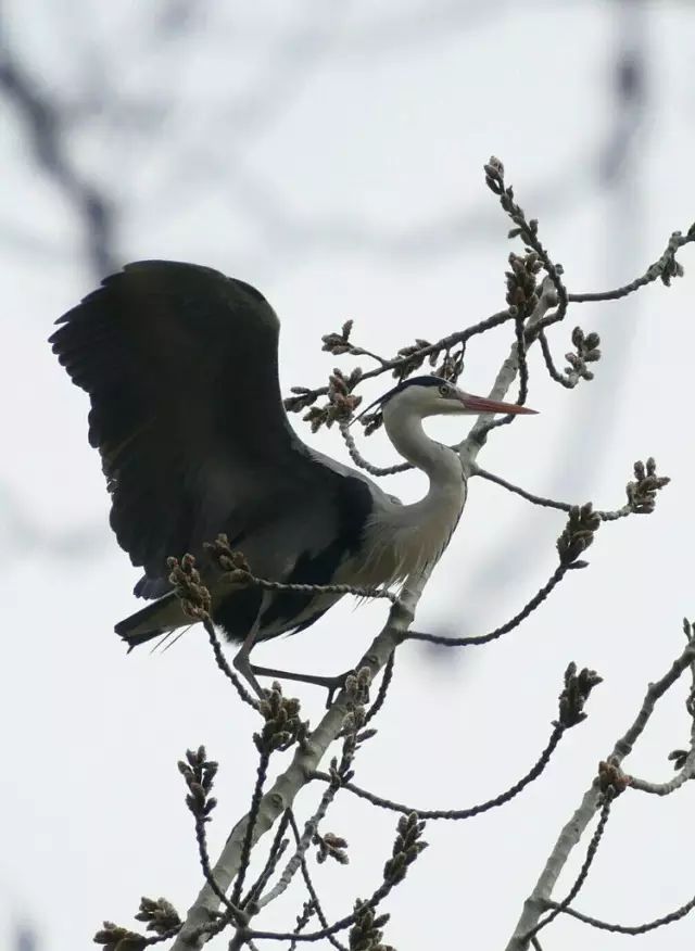 武都旅游景点大全,武都旅游线路