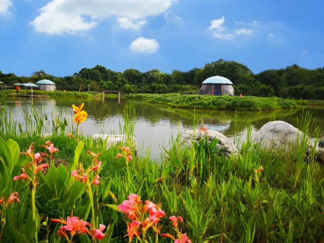 5条乡村游路线等你来打卡,国庆节乡村旅游打卡