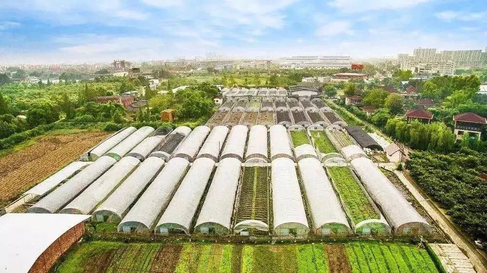 青白江美景,青白江风景美景