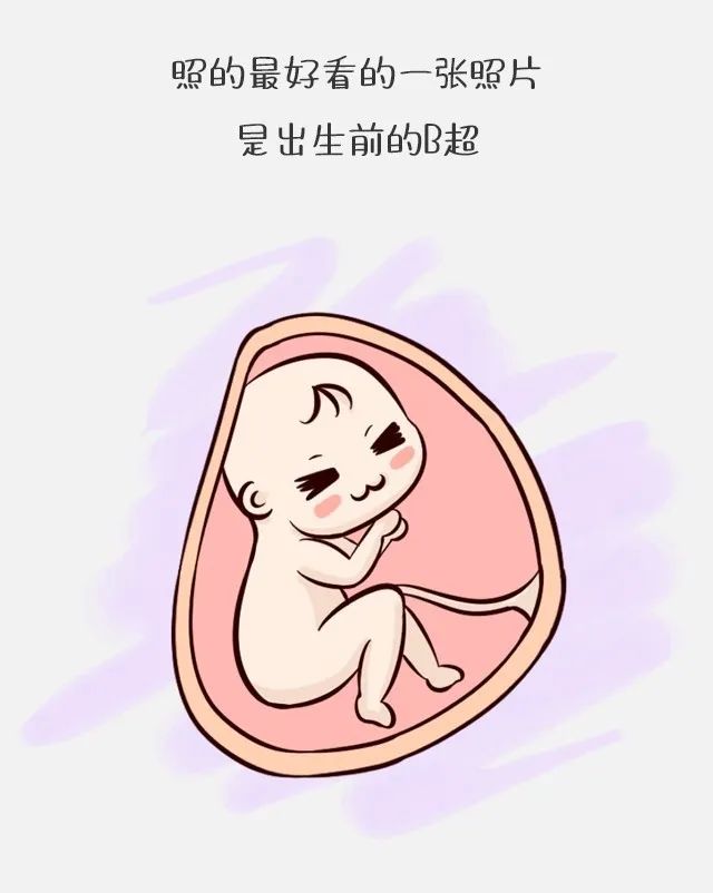 阴超和腹超有多少误差,阴超和腹超价格一样吗