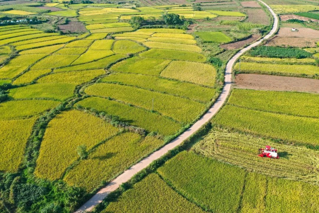 蚌埠这地方怎么样,这就是蚌埠话