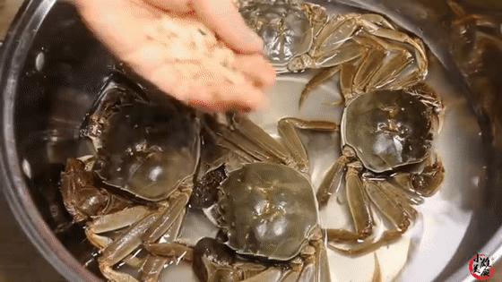 螃蟹怎么放才能保存久一点,怎样保存螃蟹放一周都是鲜活的