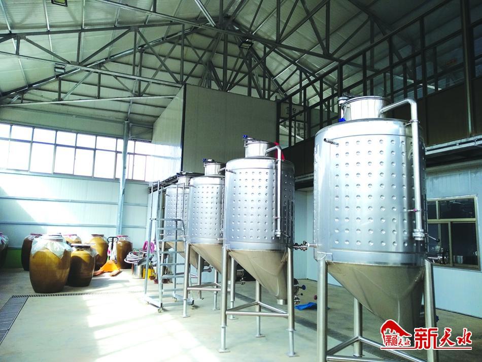 延伸产业链拓宽致富路,麦积区新阳镇未来新阳规划图