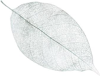 在秋天，向着美好时光，我伸出双手