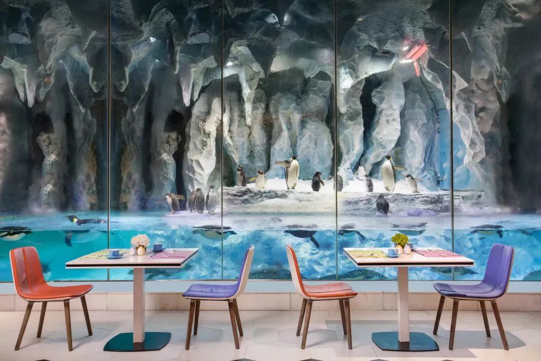 去珠海长隆海洋世界住哪个酒店好,长隆有必要住里面的酒店吗