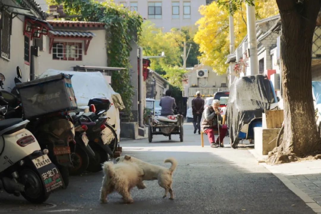 惊艳！中华大地开启秋色滤镜，一篇《故都的秋》写尽秋日之美