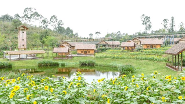 成都双流晚上适合拍照打卡的地方,成都周末打卡推荐双流