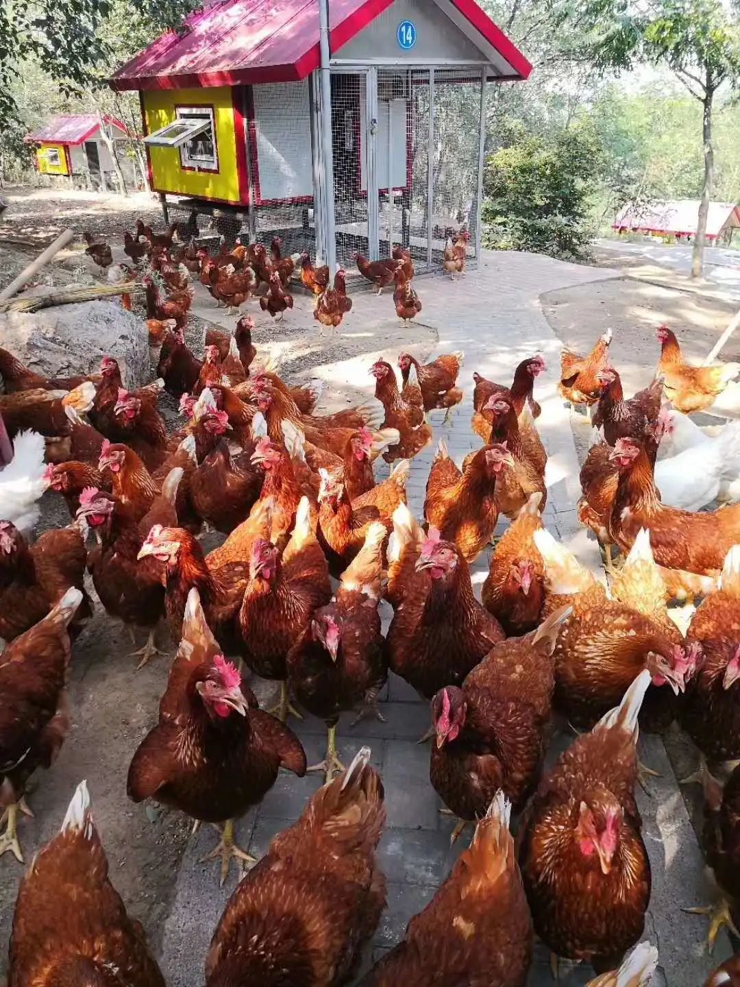 大连适合赏秋的地方,大连赏秋好地方