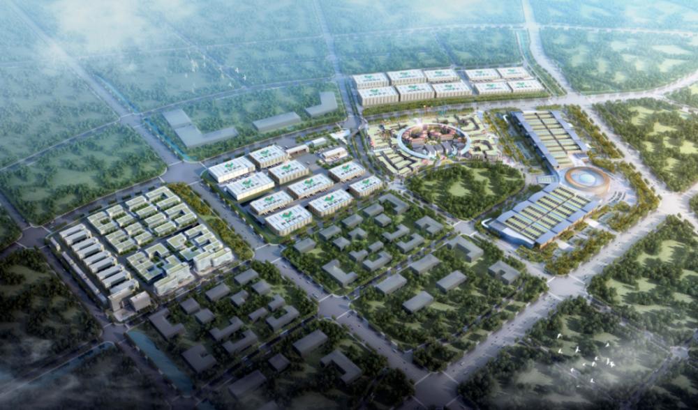 义乌北苑菜市场改造工程进展,义乌农贸城搬迁佛堂