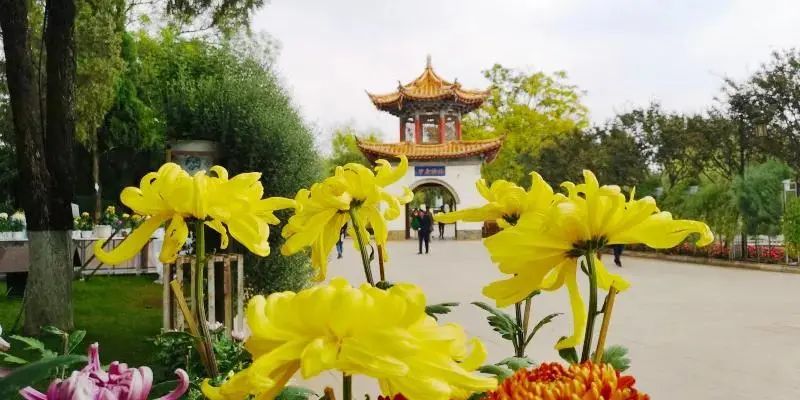 重阳关爱老人暖人心,重阳节陪伴是最好的孝心