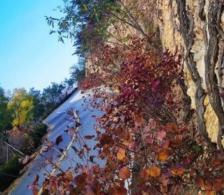 赏秋小众景点推荐,川西赏秋旅游景点