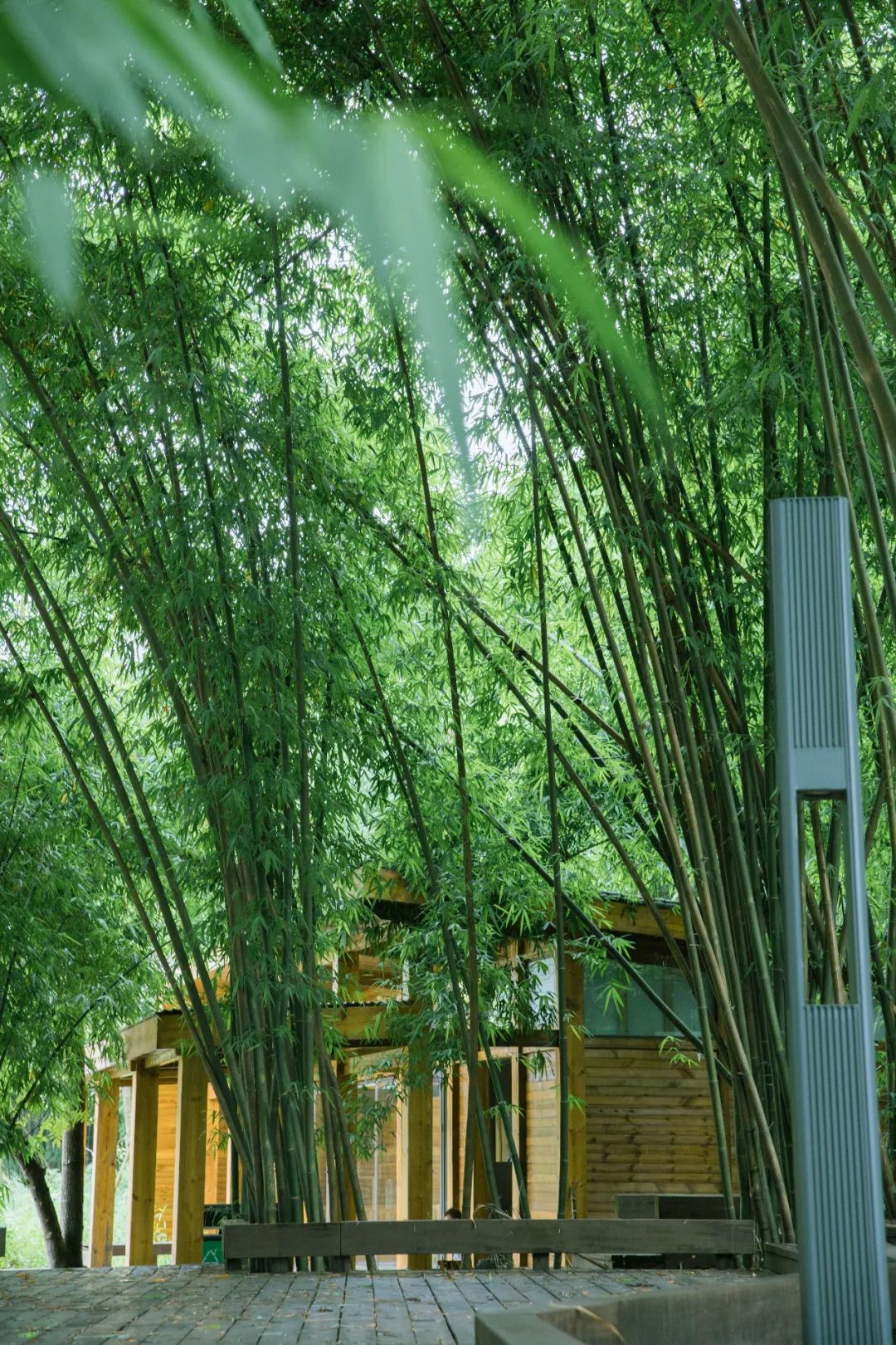 成都100种美景图片,航拍中国成都十大风景区