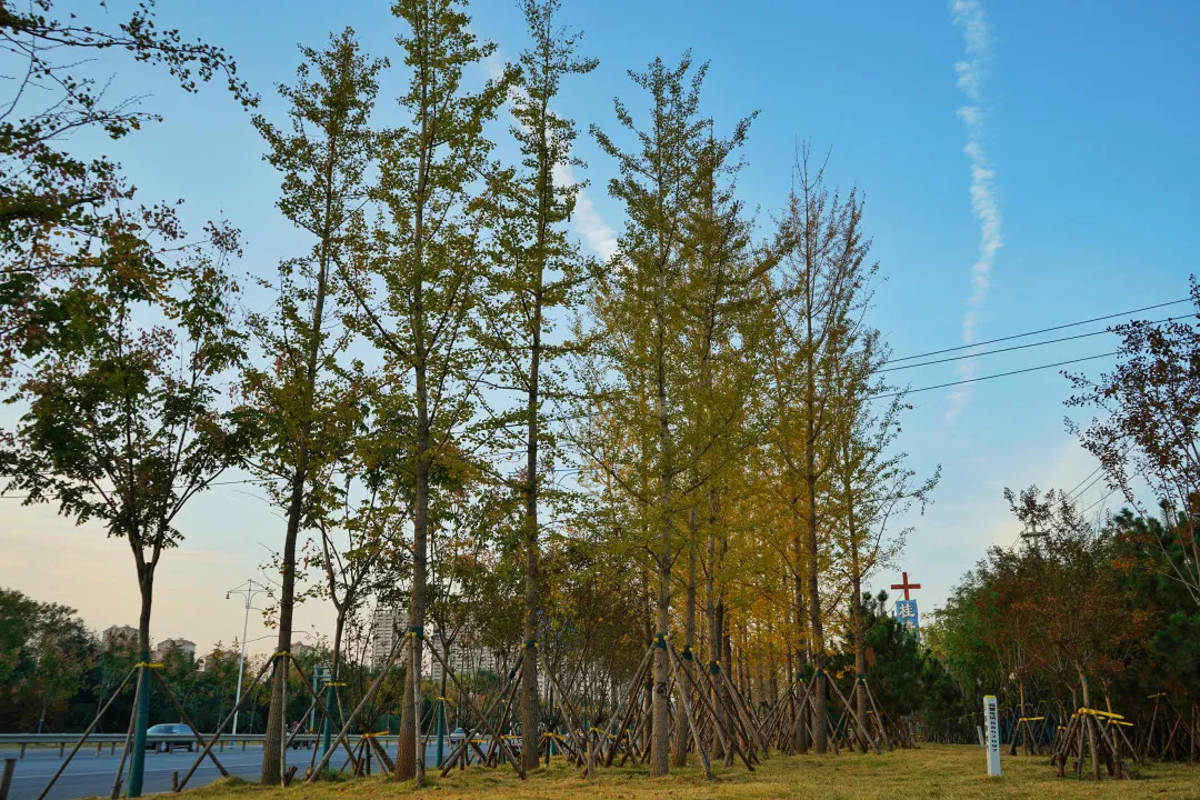 描绘乡村美丽新画卷,描绘中国美丽新画卷