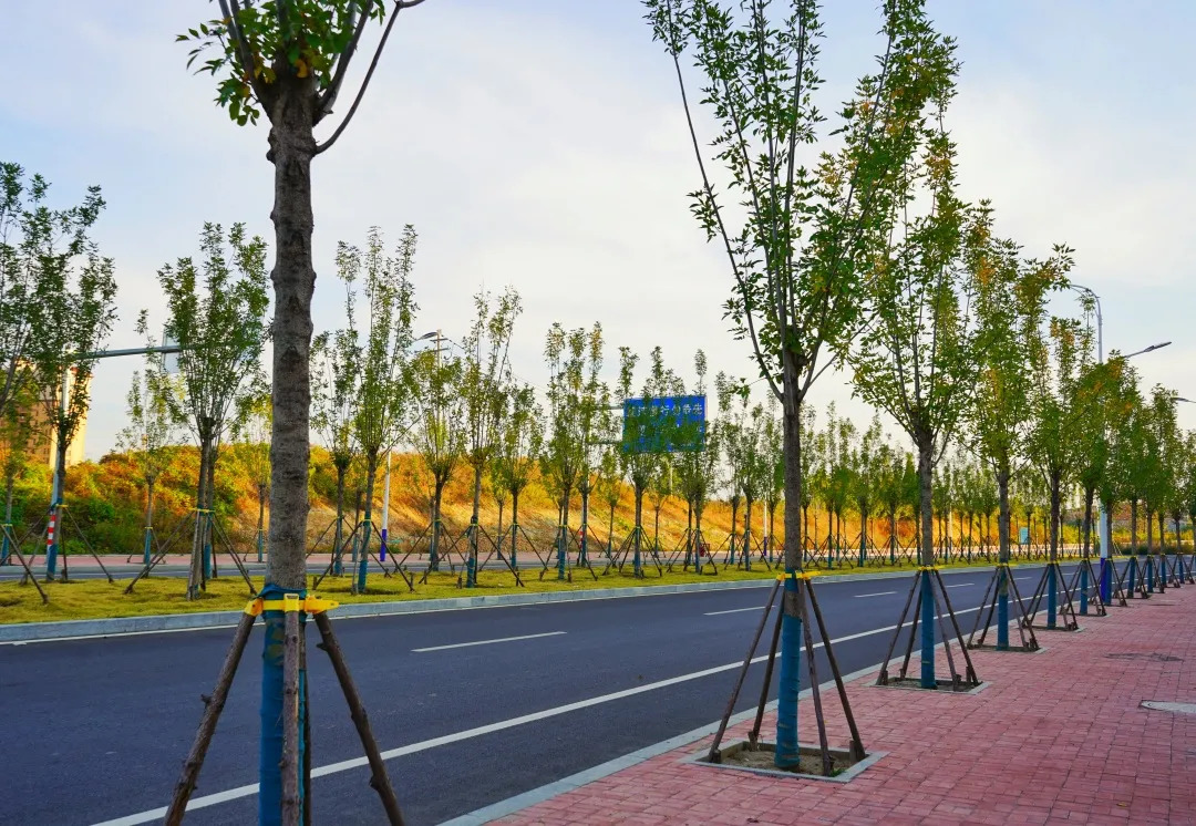 描绘乡村美丽新画卷,描绘中国美丽新画卷