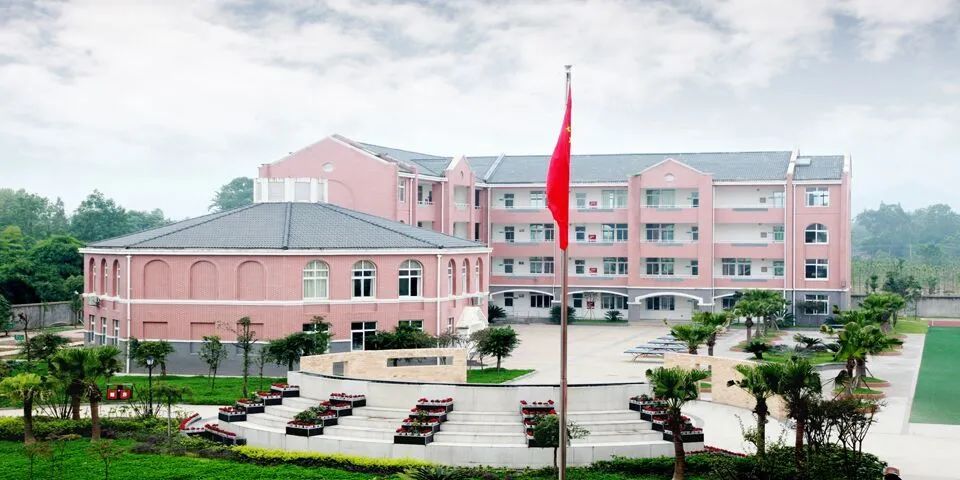 大邑县城里最好的小学,大邑小学有哪些